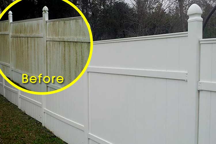 BLOG_BeforeAfter_FenceMossRemoval.jpg