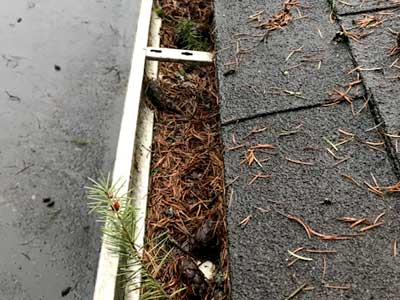 Gutter Cleaning